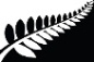 Silver Fern (Black and White)